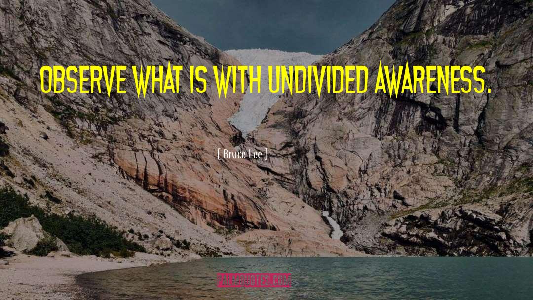 Undivided quotes by Bruce Lee