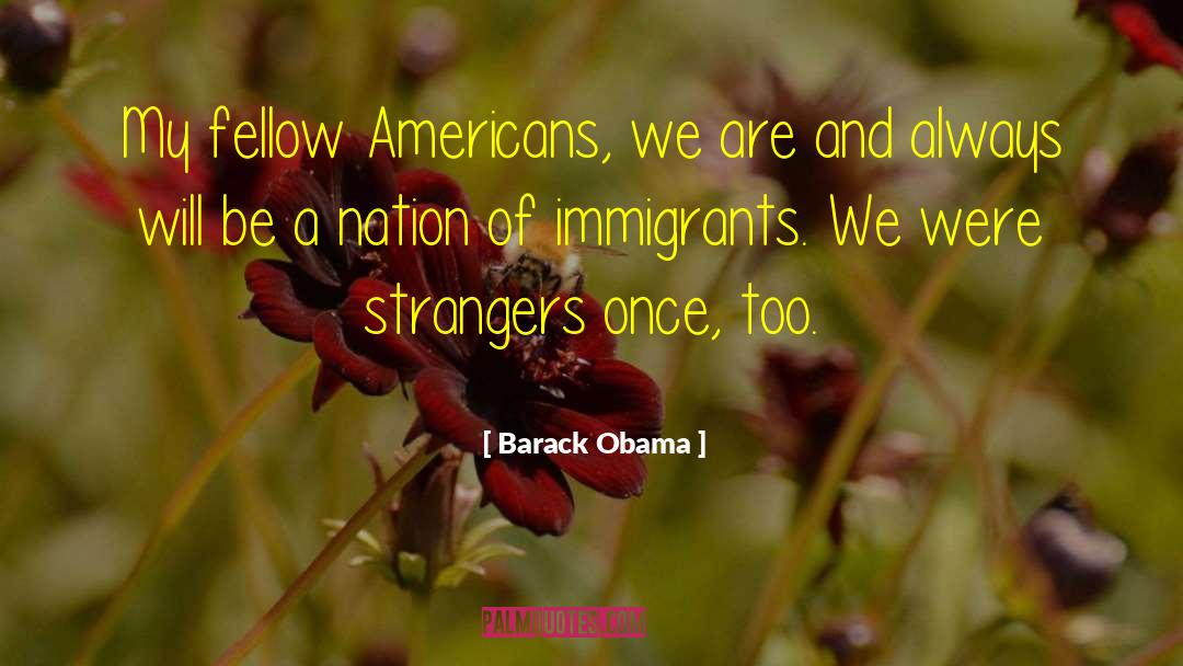 Undocumented Immigrants quotes by Barack Obama