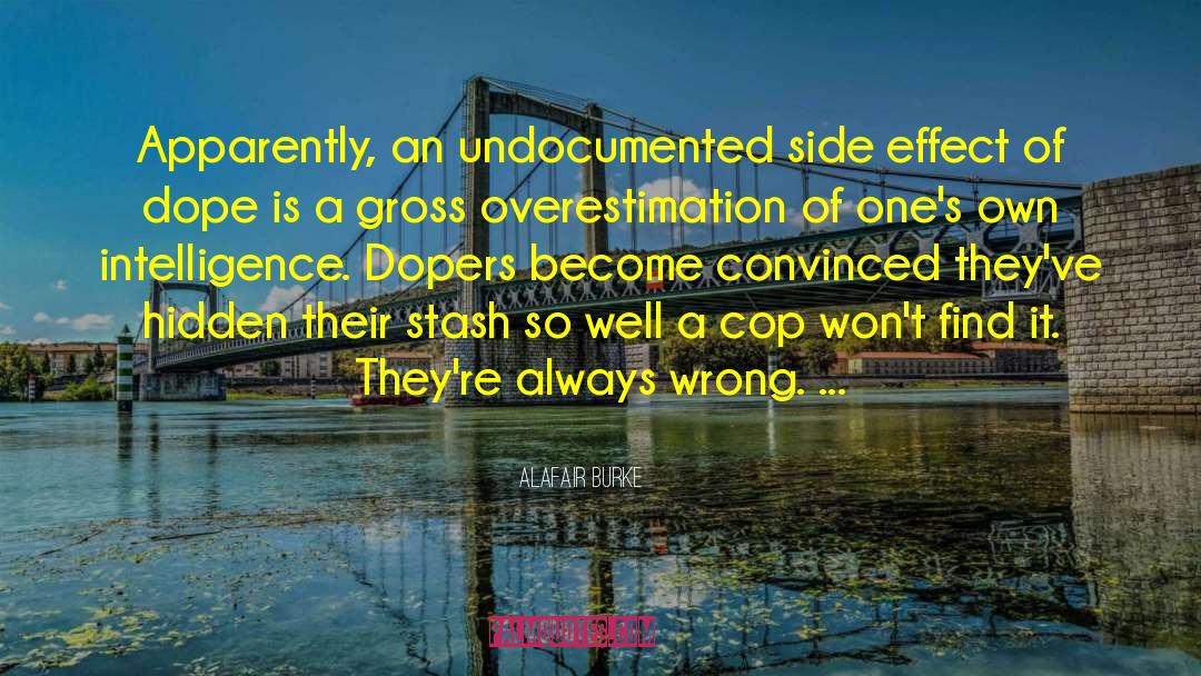 Undocumented quotes by Alafair Burke