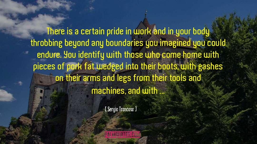 Undocumented Workers quotes by Sergio Troncoso