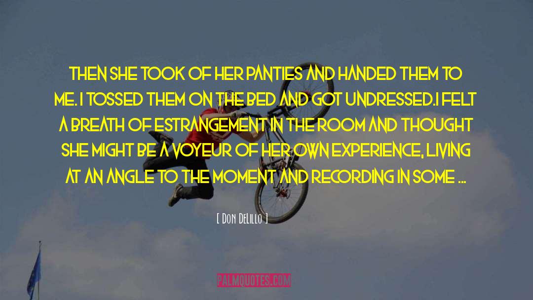 Undressed quotes by Don DeLillo