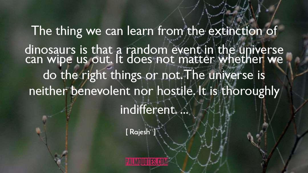 Undulatory Extinction quotes by Rajesh`
