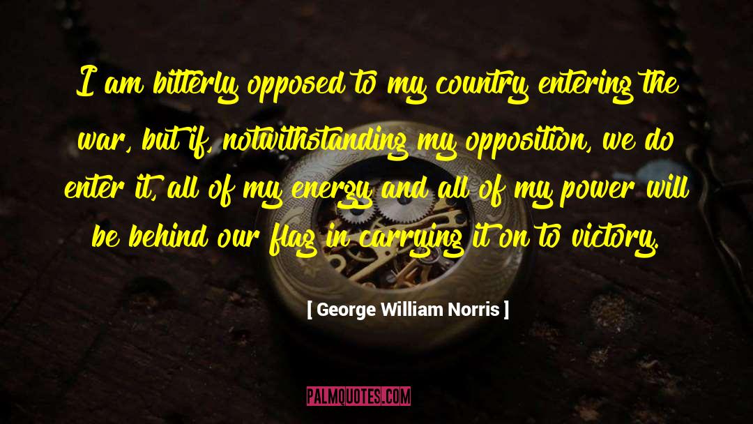 Undying Energy quotes by George William Norris