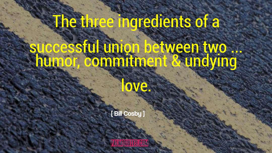 Undying Love quotes by Bill Cosby