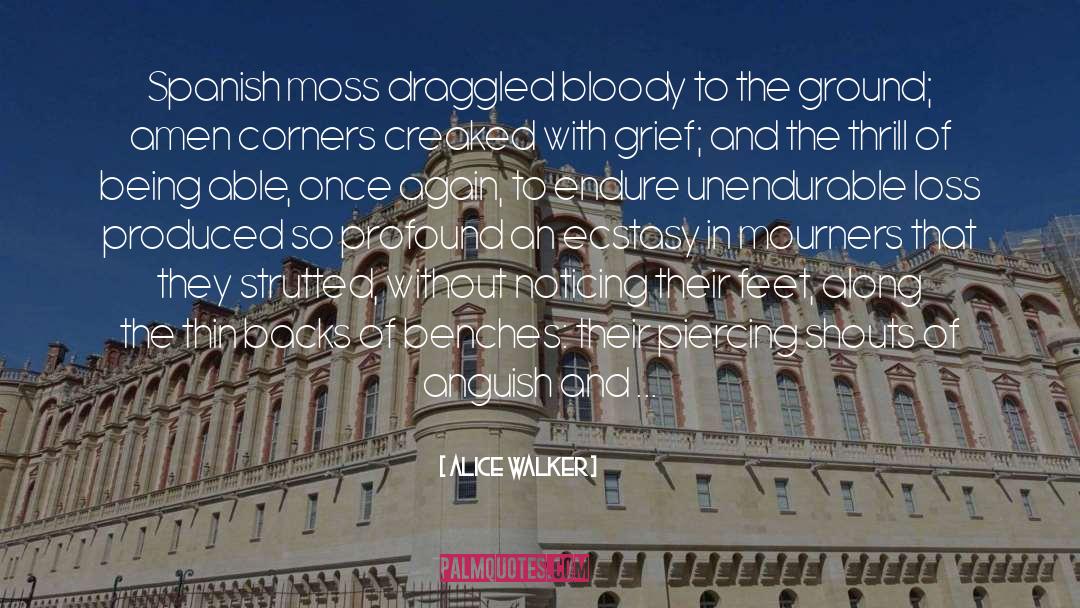 Unendurable quotes by Alice Walker