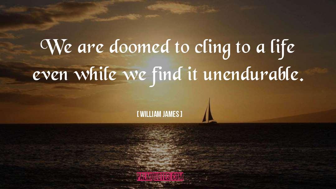 Unendurable quotes by William James