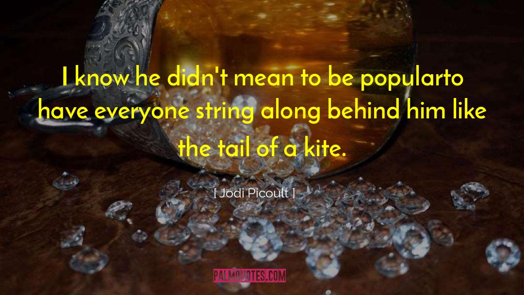 Unexpected Analogy quotes by Jodi Picoult