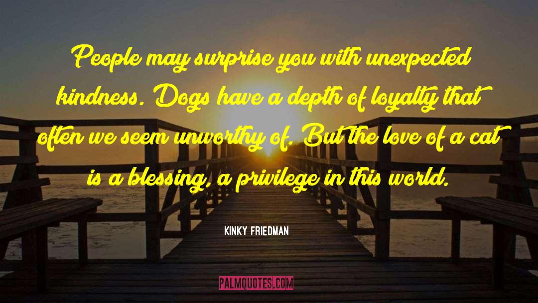 Unexpected Kindness quotes by Kinky Friedman