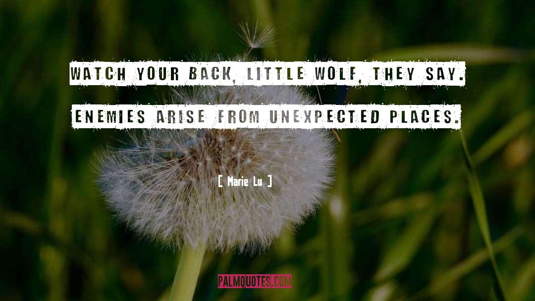 Unexpected Places quotes by Marie Lu