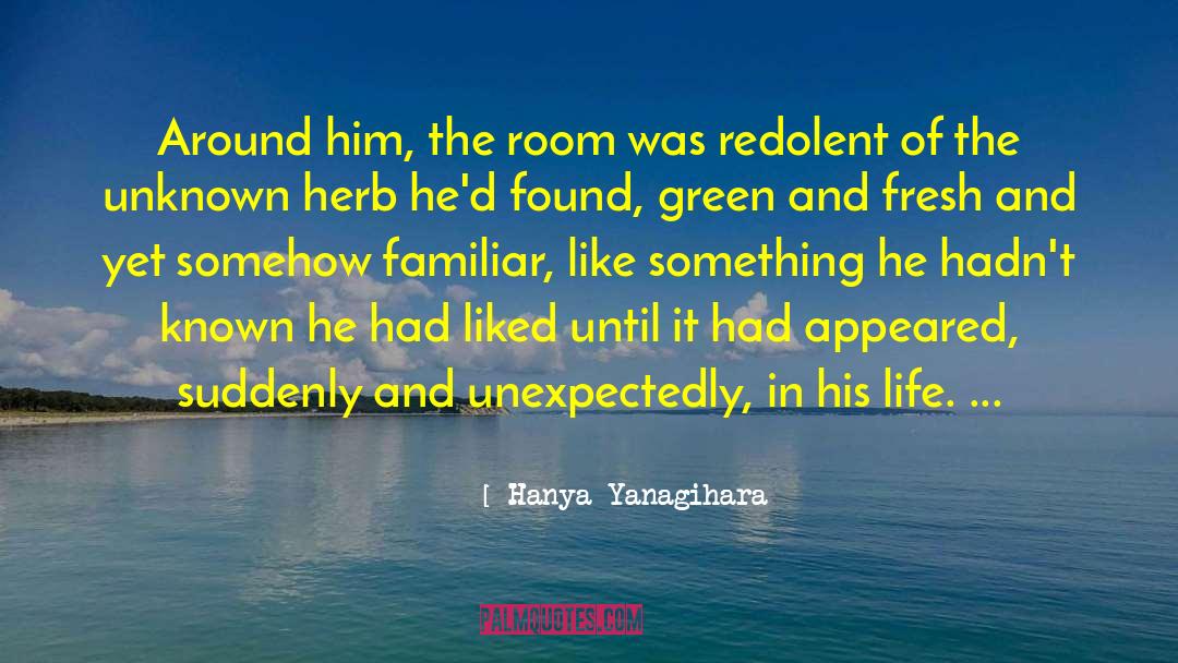Unexpectedly quotes by Hanya Yanagihara
