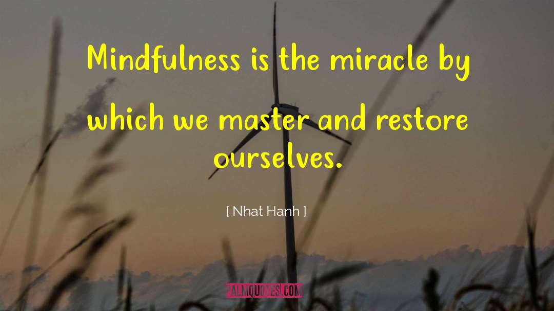 Unexplained Miracle quotes by Nhat Hanh