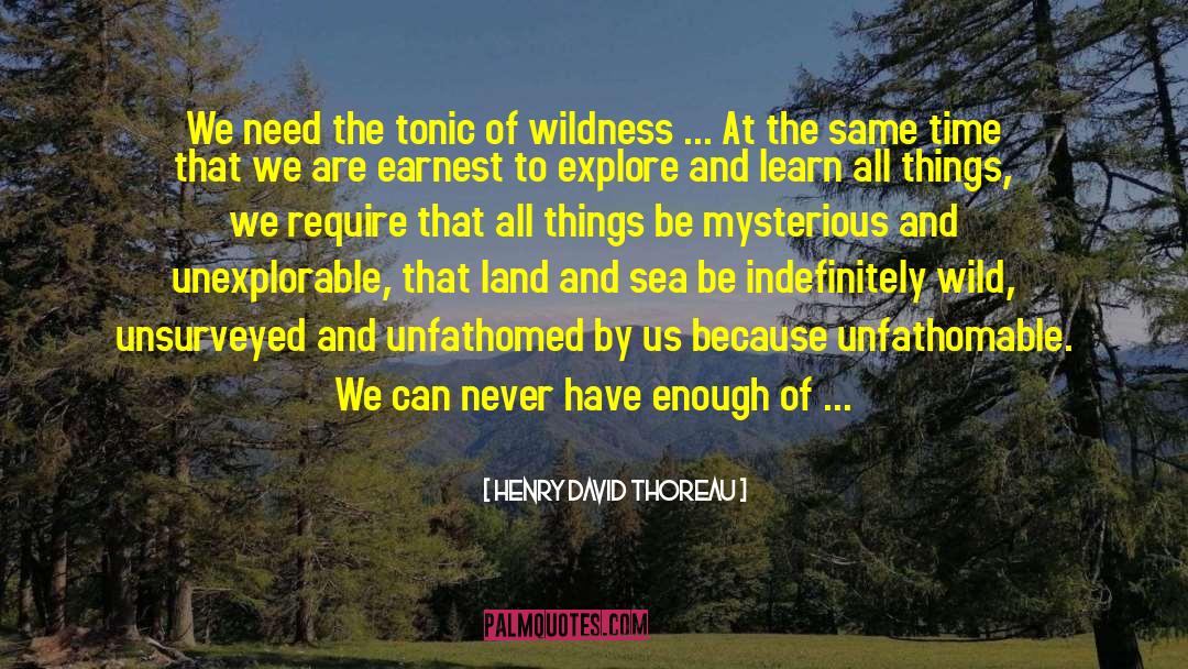 Unexplorable quotes by Henry David Thoreau