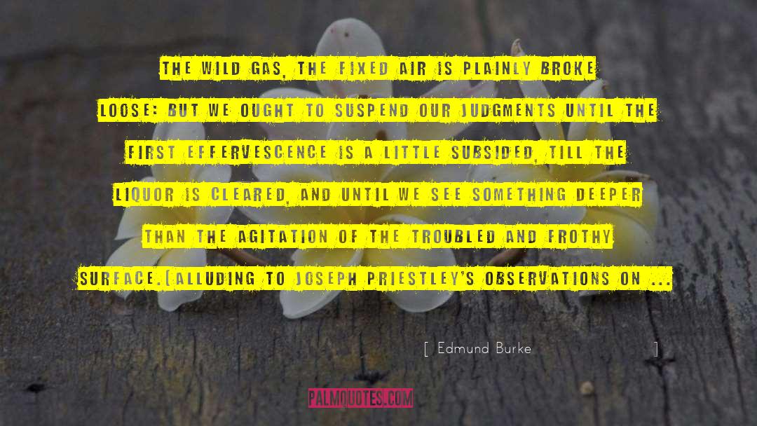 Unfashionable Observations quotes by Edmund Burke