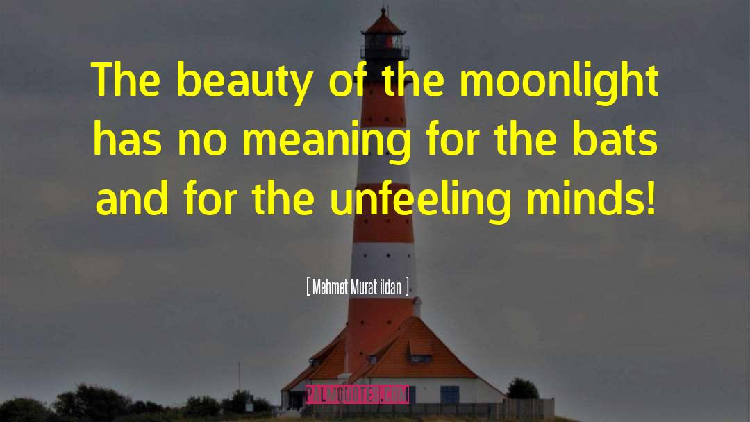 Unfeeling quotes by Mehmet Murat Ildan