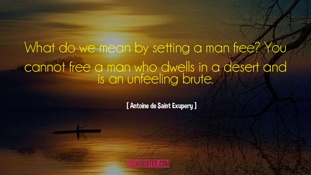 Unfeeling quotes by Antoine De Saint Exupery