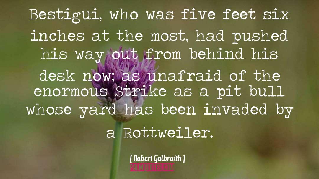 Unfenced Yard quotes by Robert Galbraith