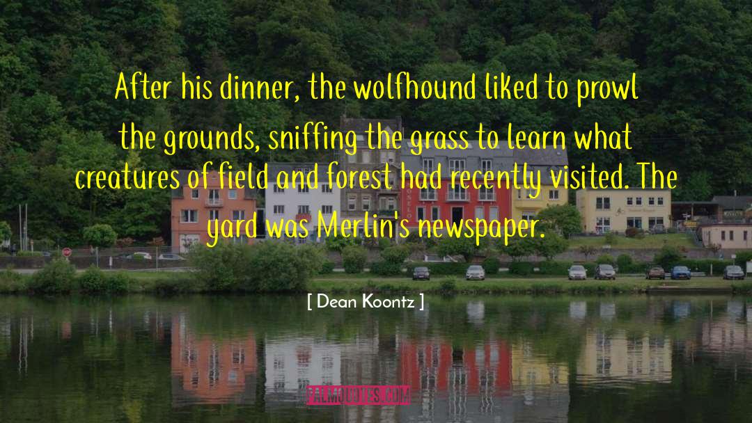 Unfenced Yard quotes by Dean Koontz