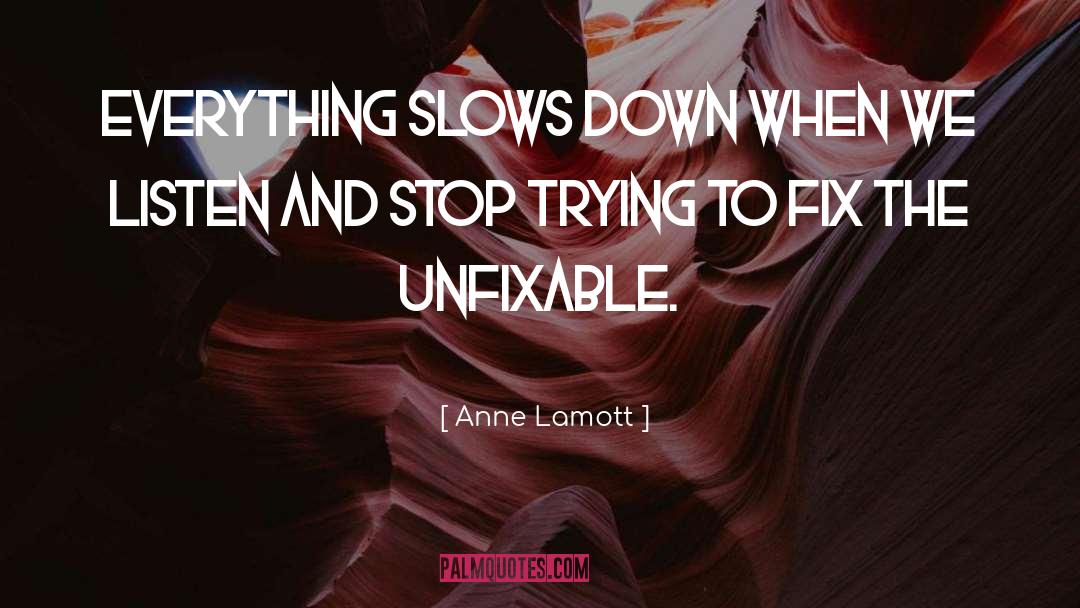 Unfixable quotes by Anne Lamott