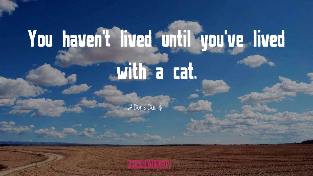 Unfixed Cat quotes by Doris Day