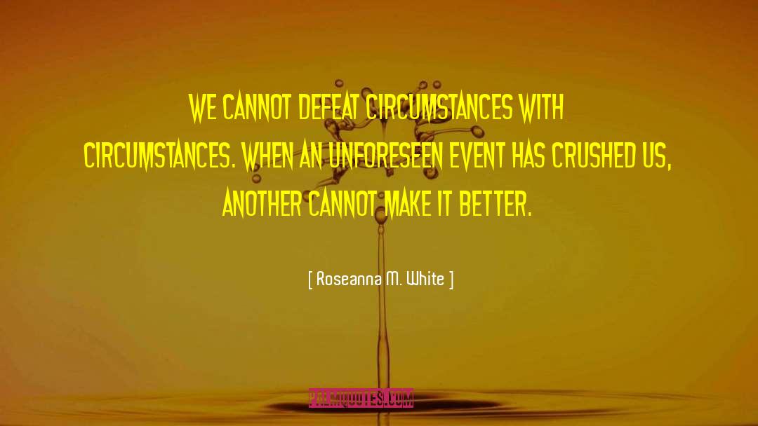 Unforeseen Glitch quotes by Roseanna M. White