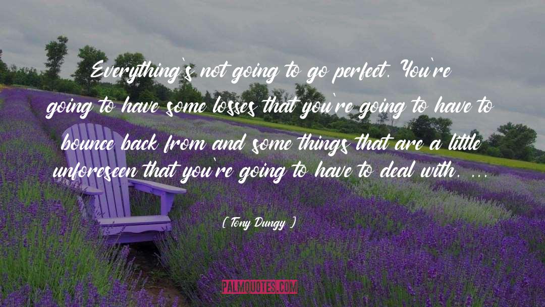 Unforeseen Glitch quotes by Tony Dungy