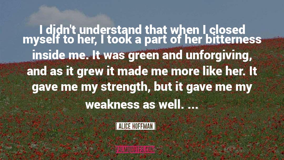 Unforgiving quotes by Alice Hoffman