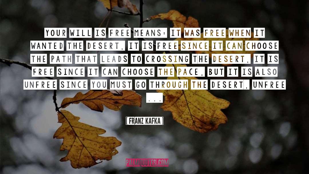Unfreedom quotes by Franz Kafka