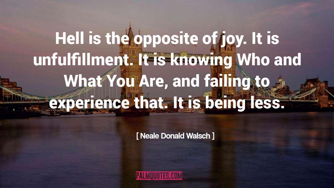 Unfulfillment quotes by Neale Donald Walsch