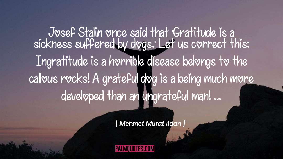 Ungrateful quotes by Mehmet Murat Ildan
