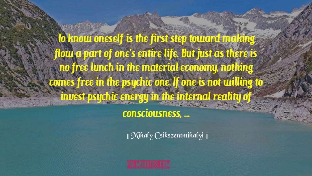 Unhappy Consciousness quotes by Mihaly Csikszentmihalyi