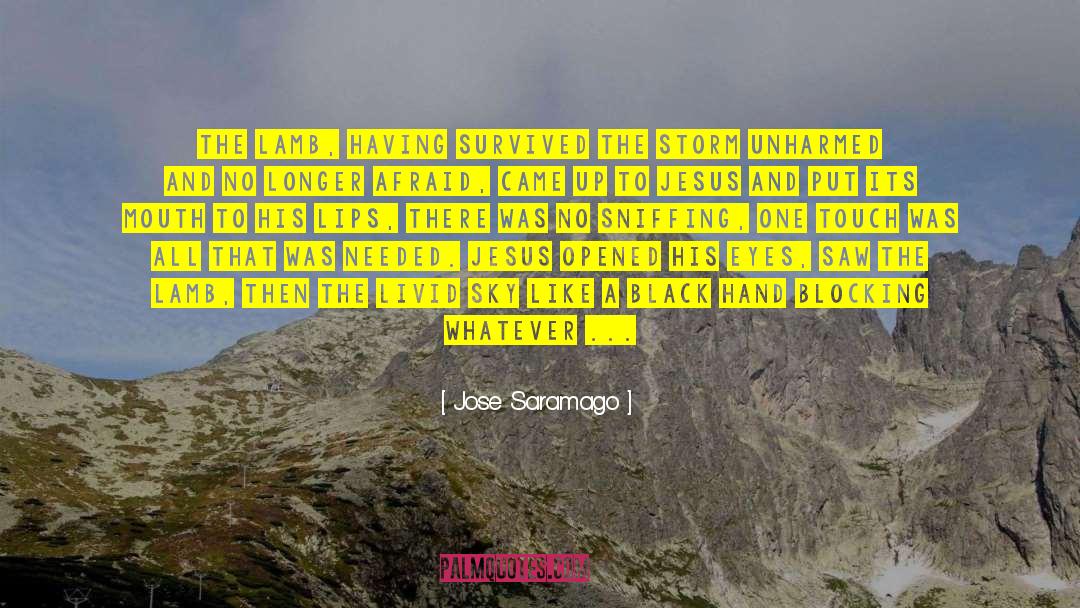Unharmed quotes by Jose Saramago