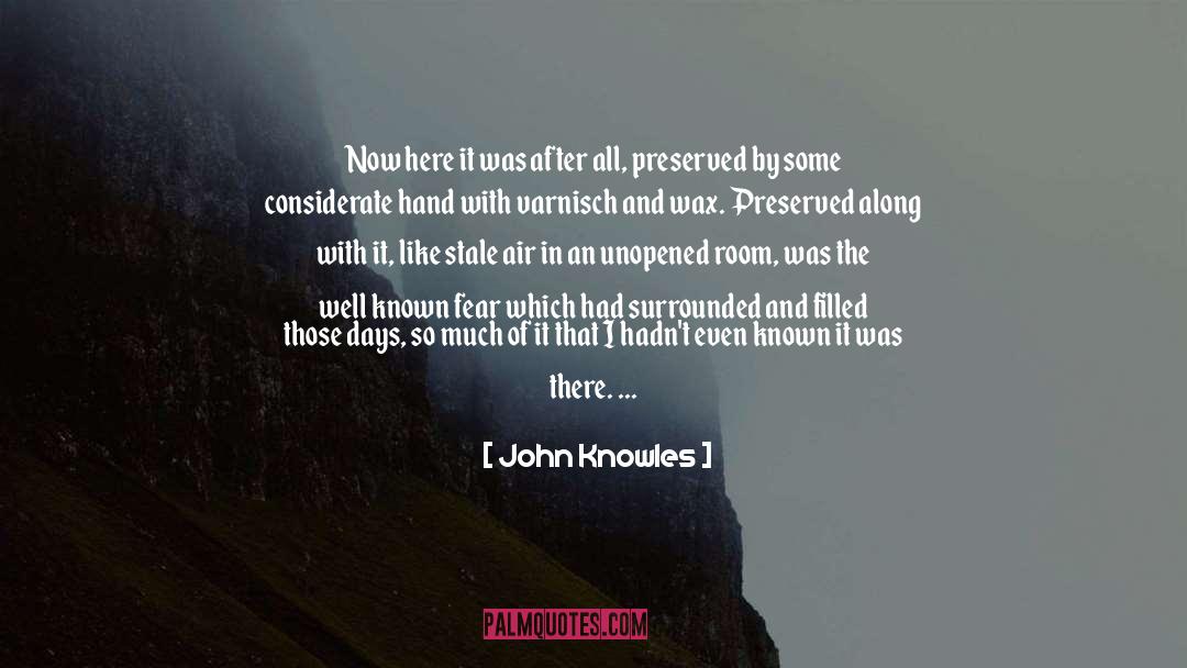 Unhinged quotes by John Knowles