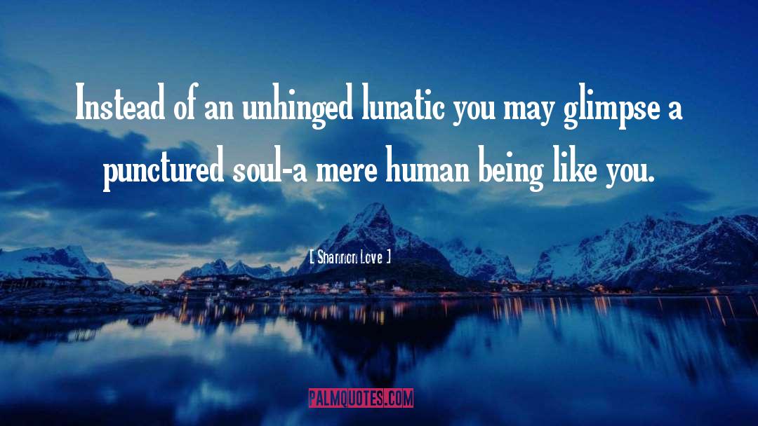 Unhinged quotes by Shannon Love