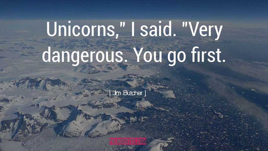 Unicorns quotes by Jim Butcher