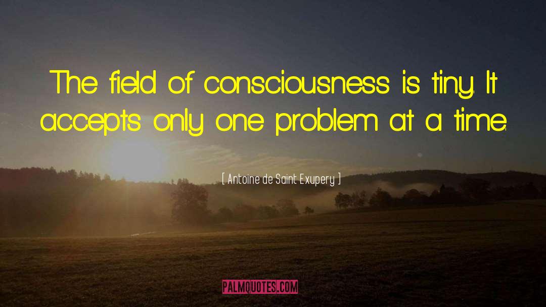 Unified Field Of Consciousness quotes by Antoine De Saint Exupery