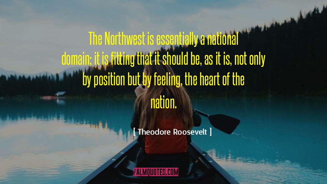 Unifying A Nation quotes by Theodore Roosevelt