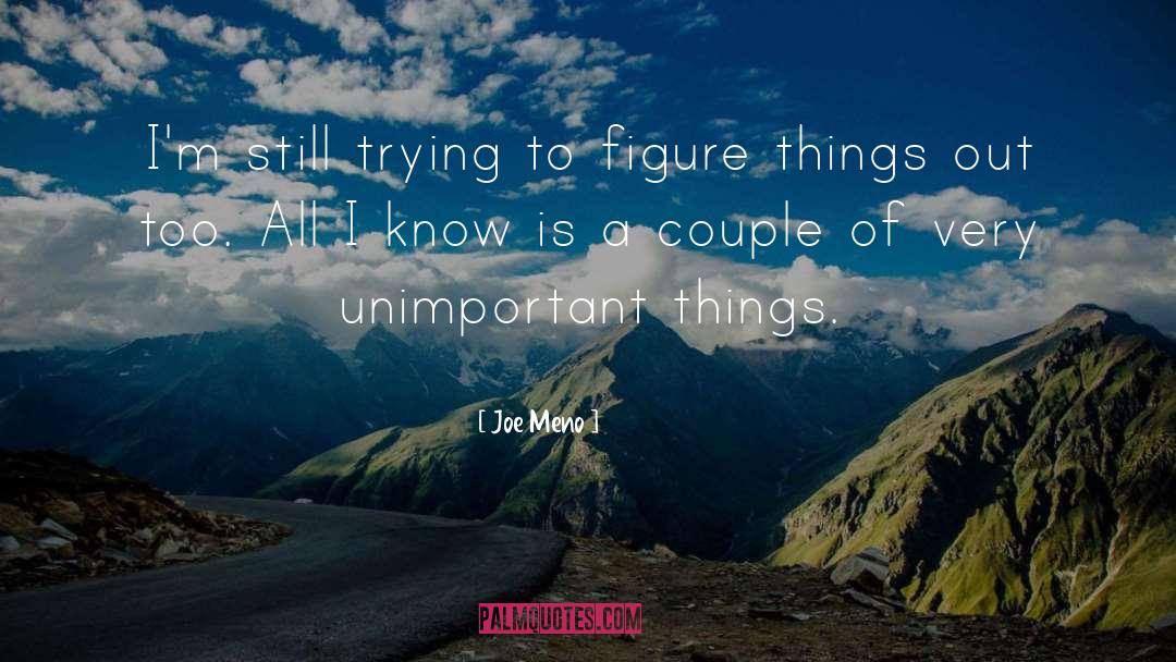 Unimportant quotes by Joe Meno