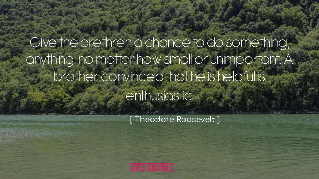 Unimportant quotes by Theodore Roosevelt