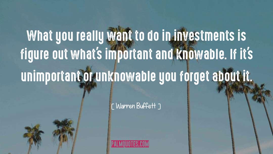 Unimportant quotes by Warren Buffett