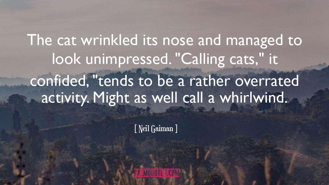 Unimpressed quotes by Neil Gaiman