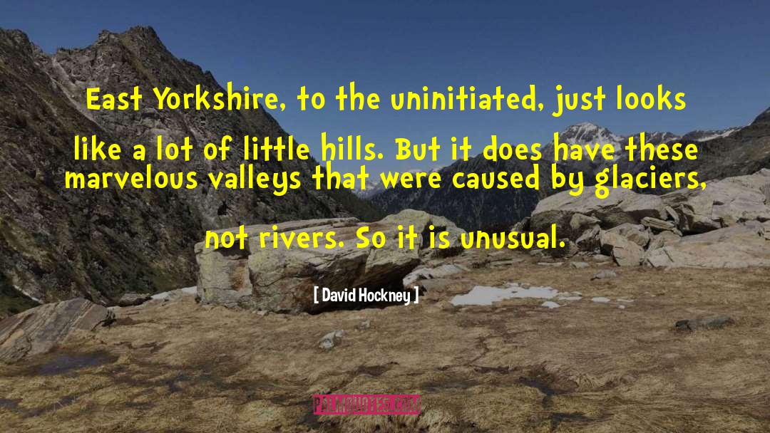 Uninitiated quotes by David Hockney