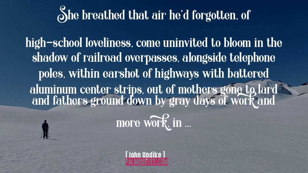 Uninvited quotes by John Updike