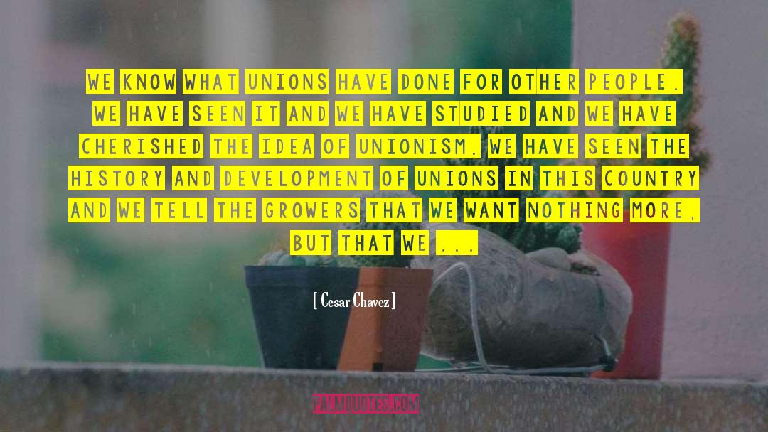 Unions quotes by Cesar Chavez