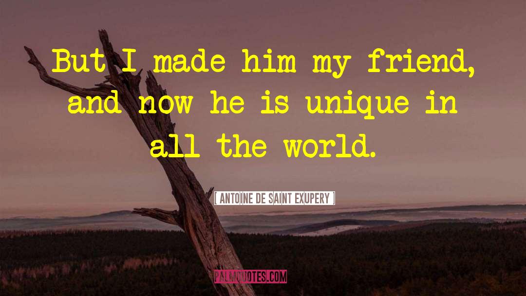 Unique Characteristics quotes by Antoine De Saint Exupery