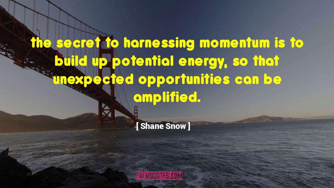 Unique Opportunities quotes by Shane Snow