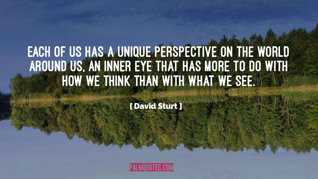 Unique Perspective quotes by David Sturt
