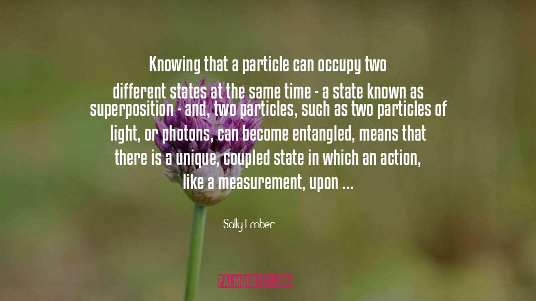Unit Of Measurement quotes by Sally Ember