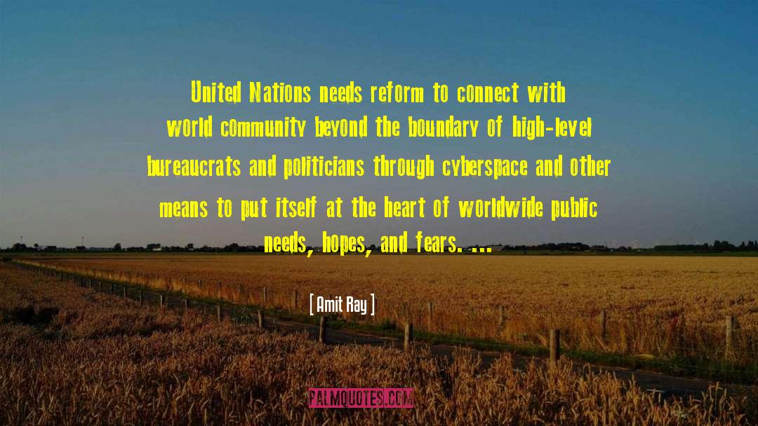 United Nations Reform quotes by Amit Ray