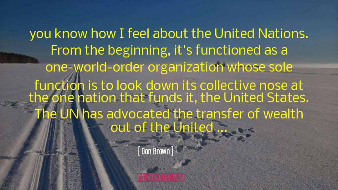 United Nations Reform quotes by Don Brown