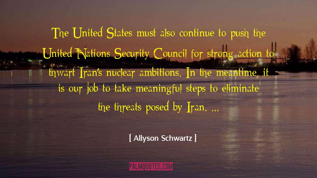 United Nations Security Council quotes by Allyson Schwartz